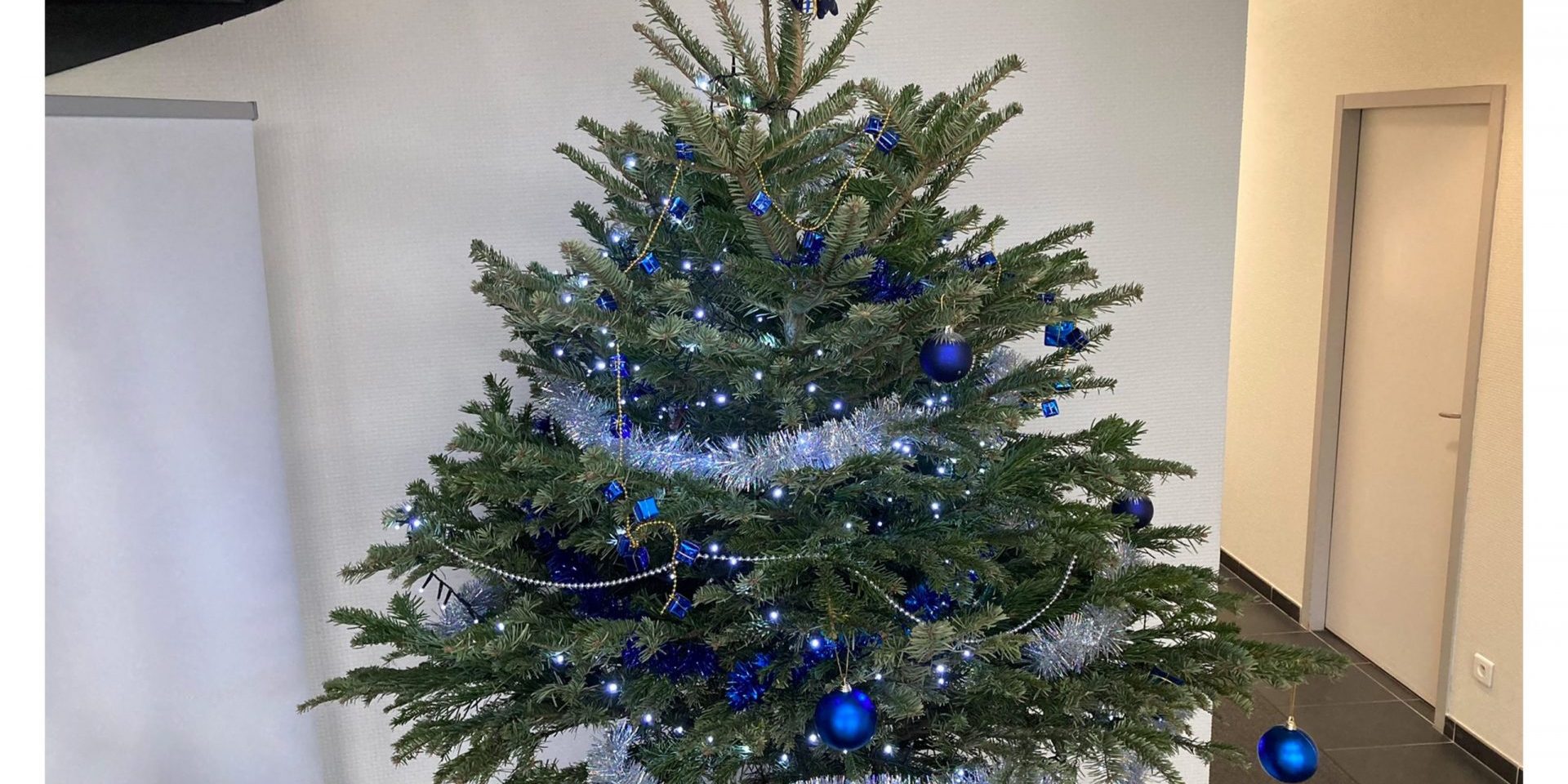 Le sapin de Noël d'Aerial Assurances