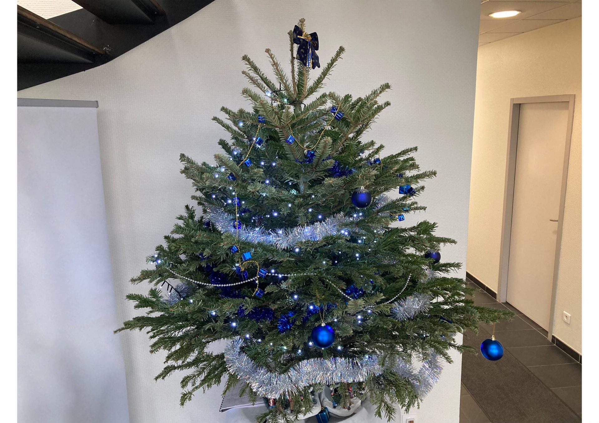 Le sapin de Noël d'Aerial Assurances